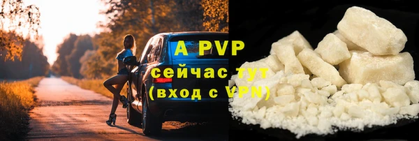 молекула духа Арсеньев
