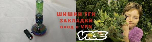 молекула духа Арсеньев