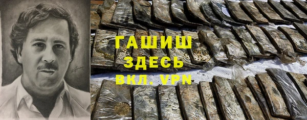 молекула духа Арсеньев