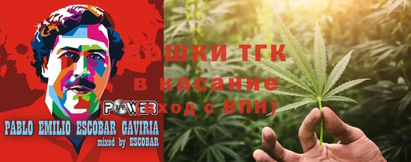 сатива Армянск