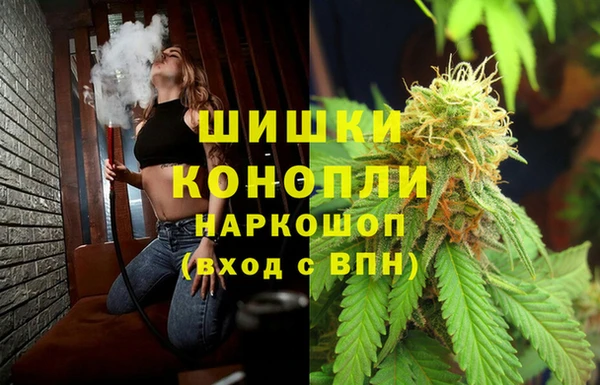 молекула духа Арсеньев